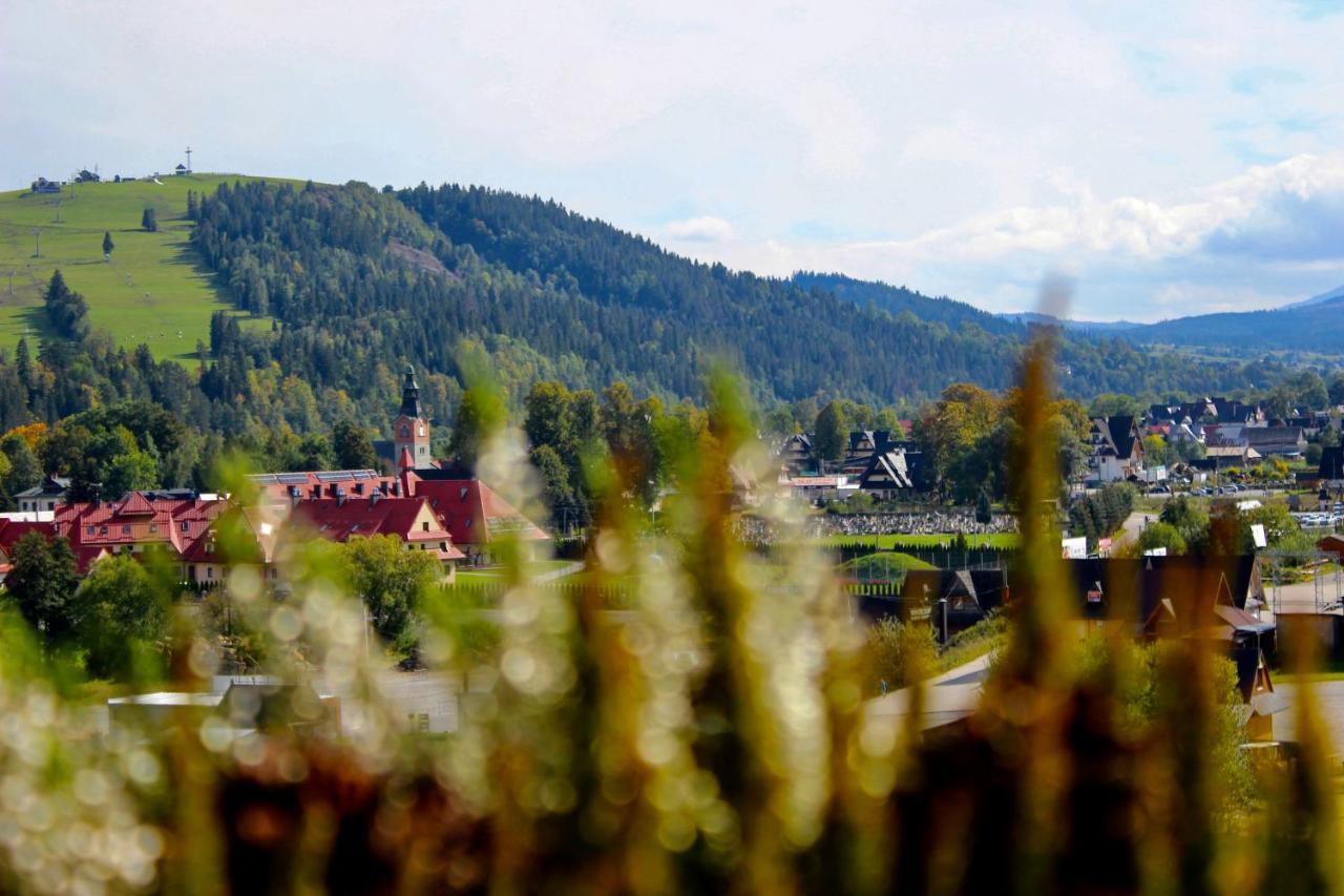 Domki W Bialce Pod Kotelnica Bialka Tatrzanska Dış mekan fotoğraf