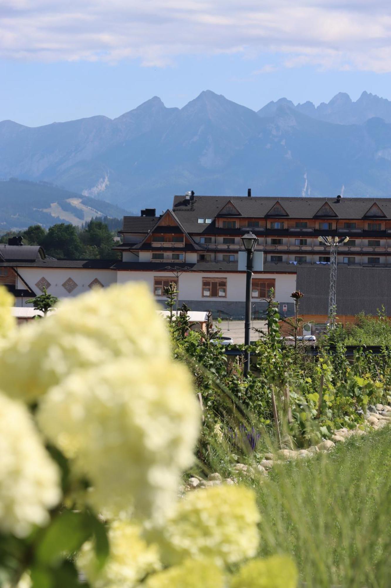 Domki W Bialce Pod Kotelnica Bialka Tatrzanska Dış mekan fotoğraf